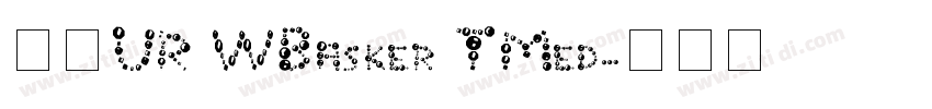 汉仪UR WBasker TMed字体转换